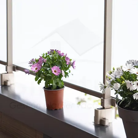 El Fluvial By Silastur Appartement *